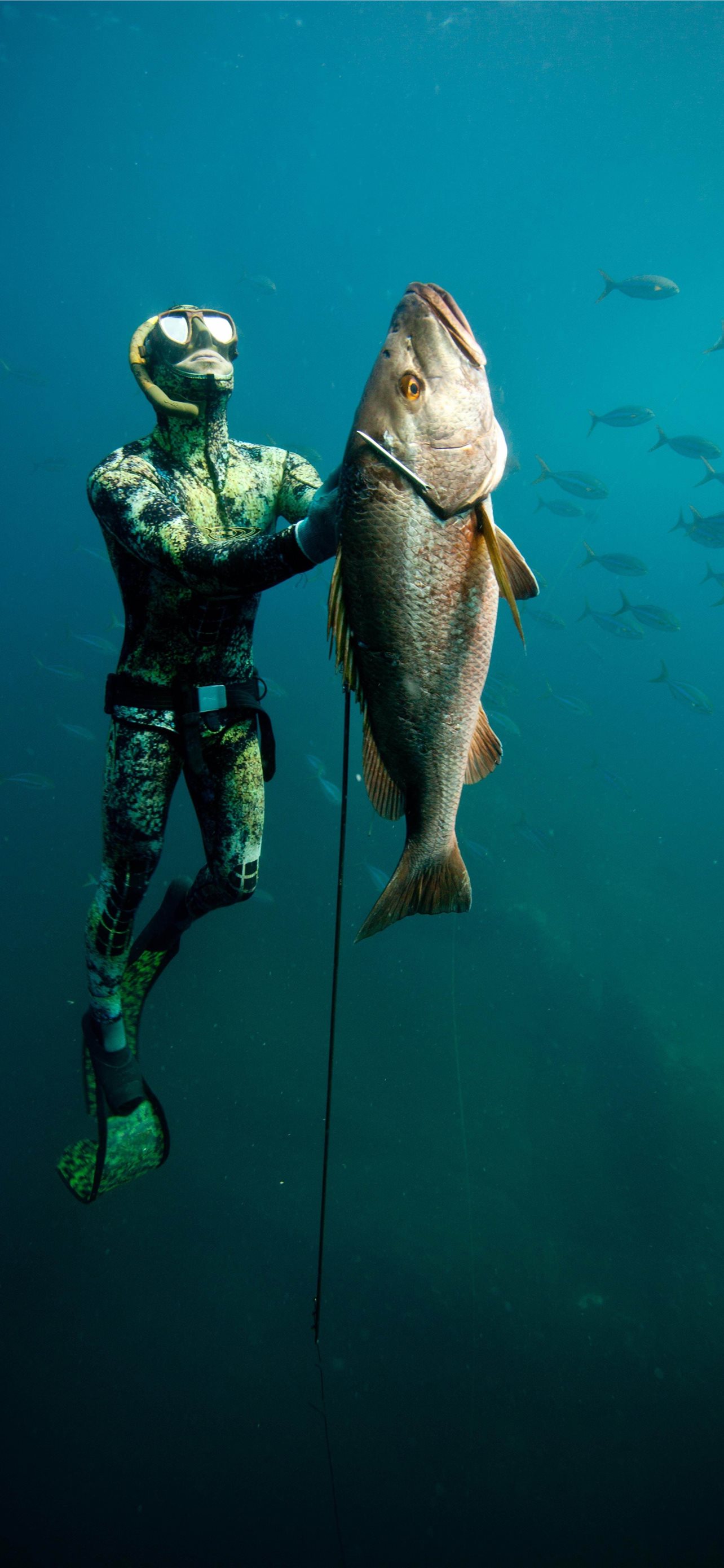 Best Fishing iPhone HD Wallpapers - iLikeWallpaper