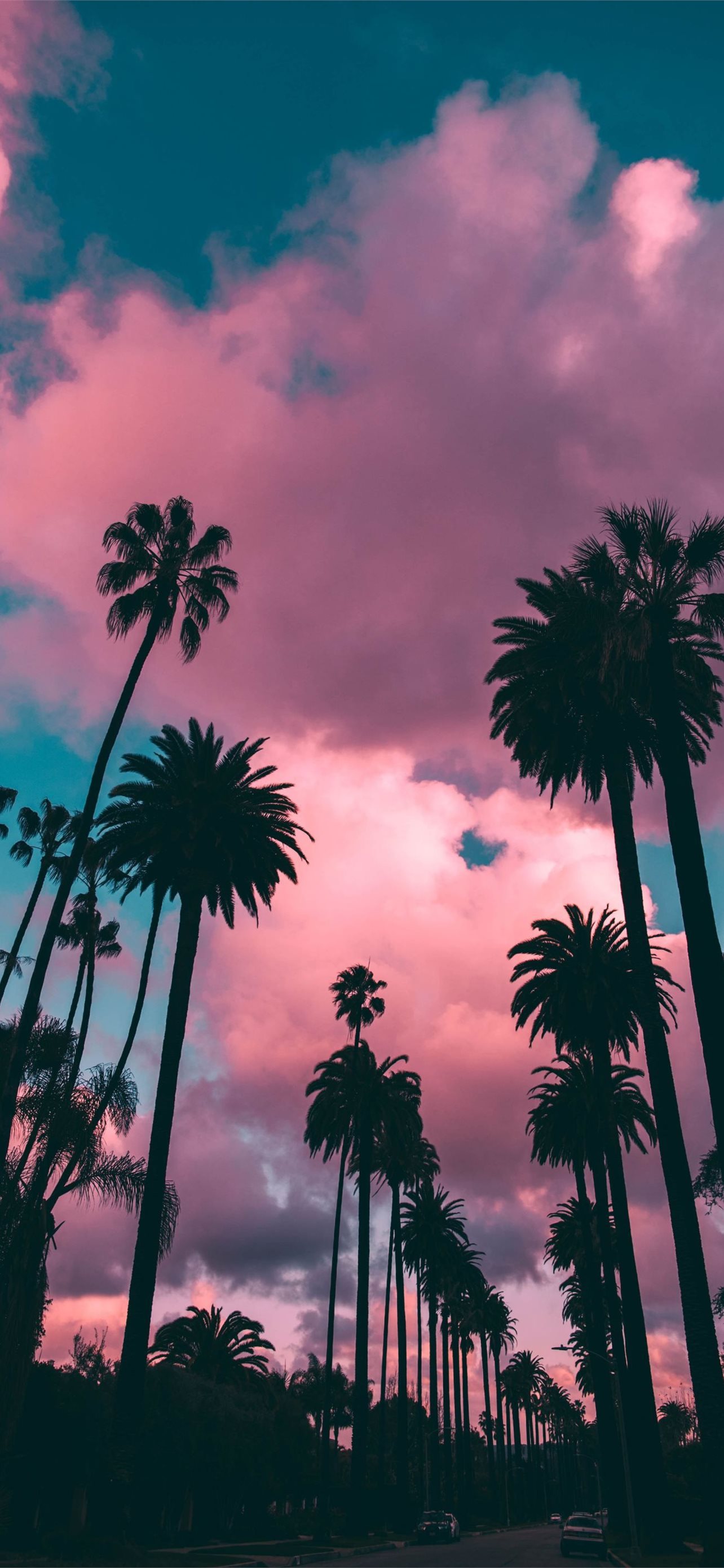 Socal Pictures | Download Free Images on Unsplash