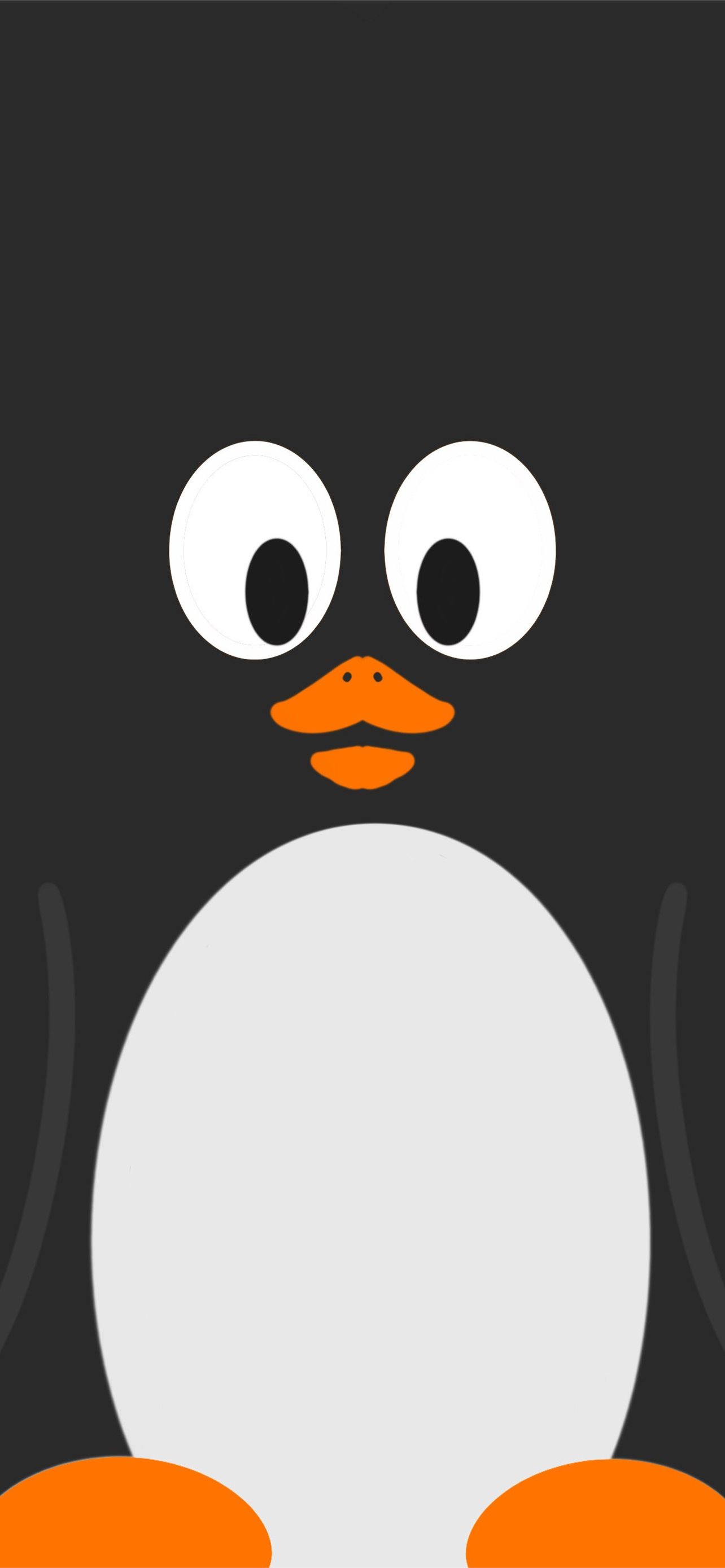 penguin wallpaper iphone