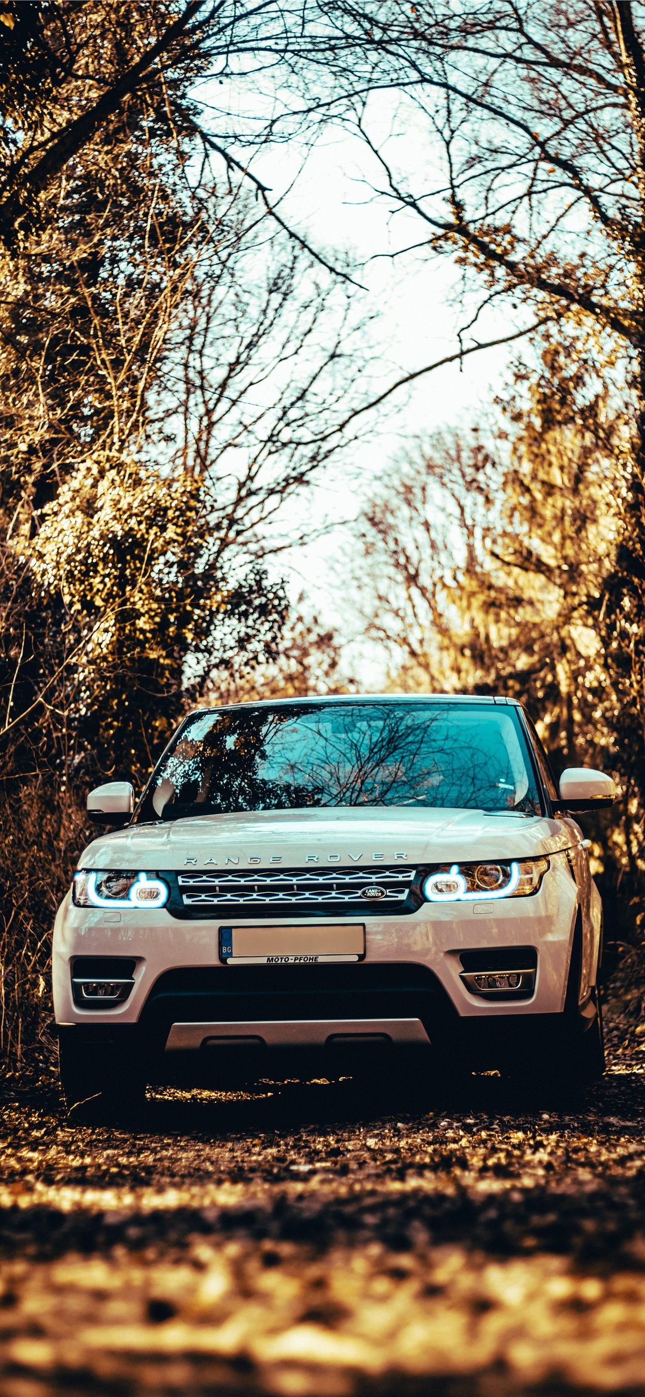 500 Land Rover Pictures  Download Free Images on Unsplash