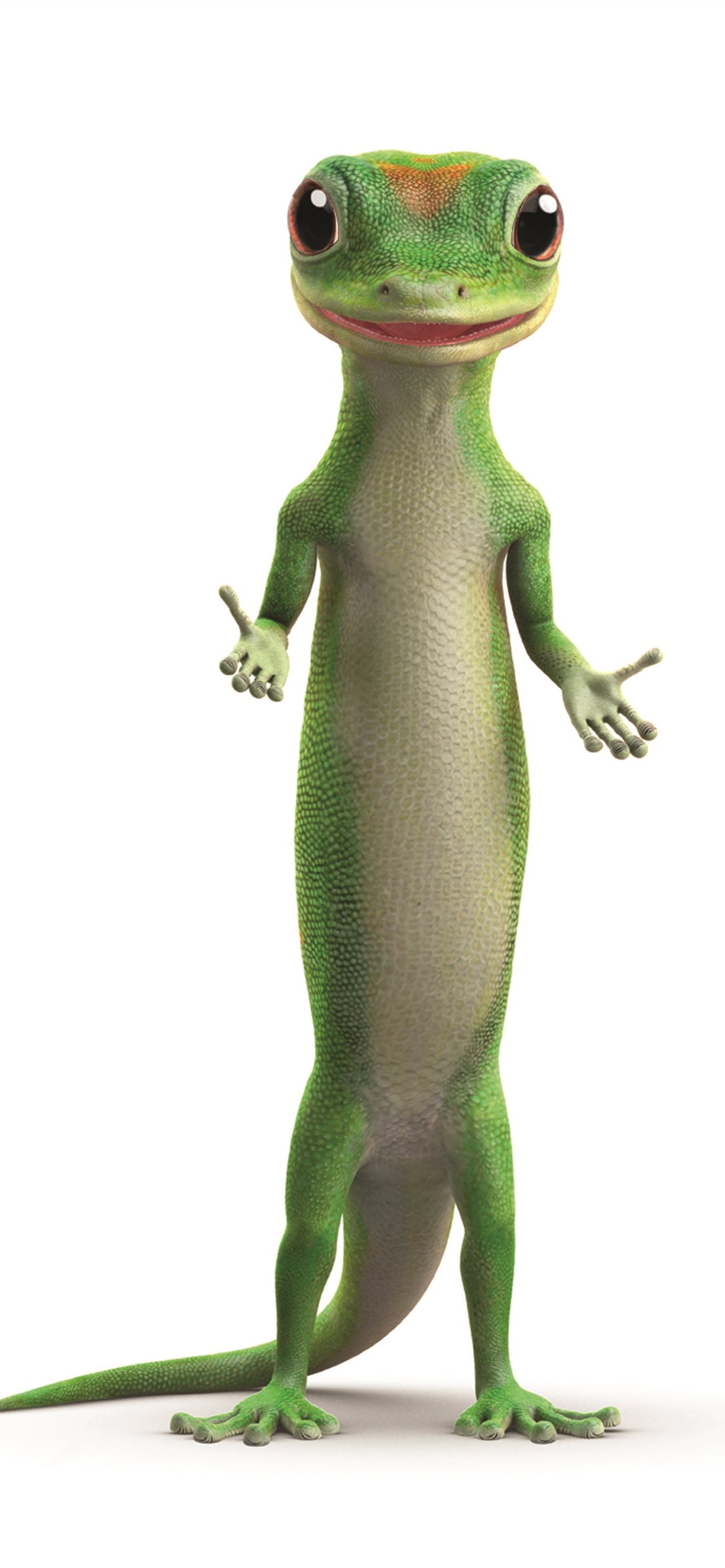 Gecko IPhone Wallpapers Free Download