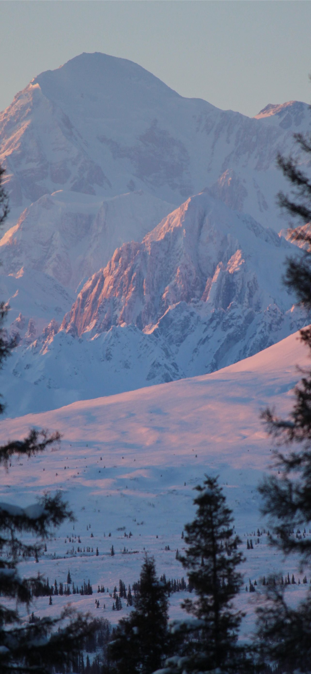 Best Denali national park and preserve iPhone HD Wallpapers - iLikeWallpaper