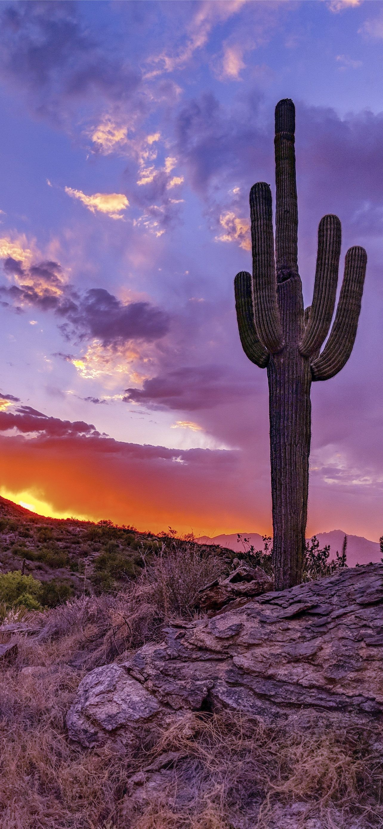 USA Arizona desert sunrise rocks 640x1136 iPhone 55S5CSE wallpaper  background picture image