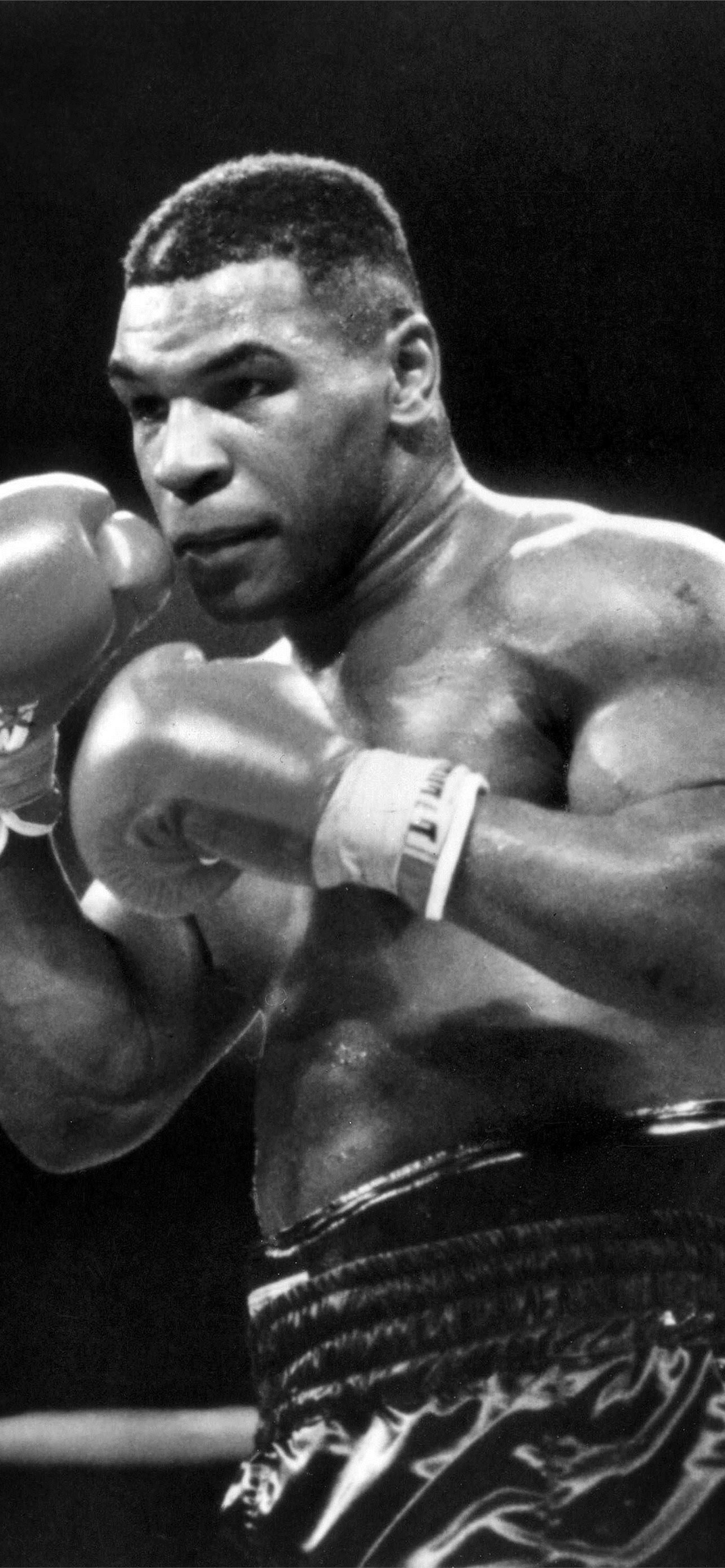 Mike Tyson Wallpapers  Top Free Mike Tyson Backgrounds  WallpaperAccess