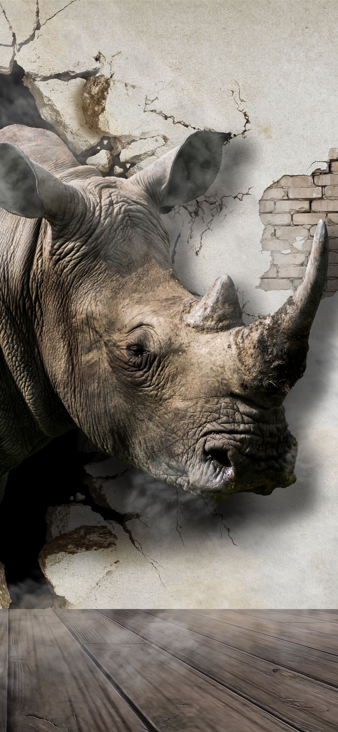 Best Rhinoceros iPhone HD Wallpapers - iLikeWallpaper