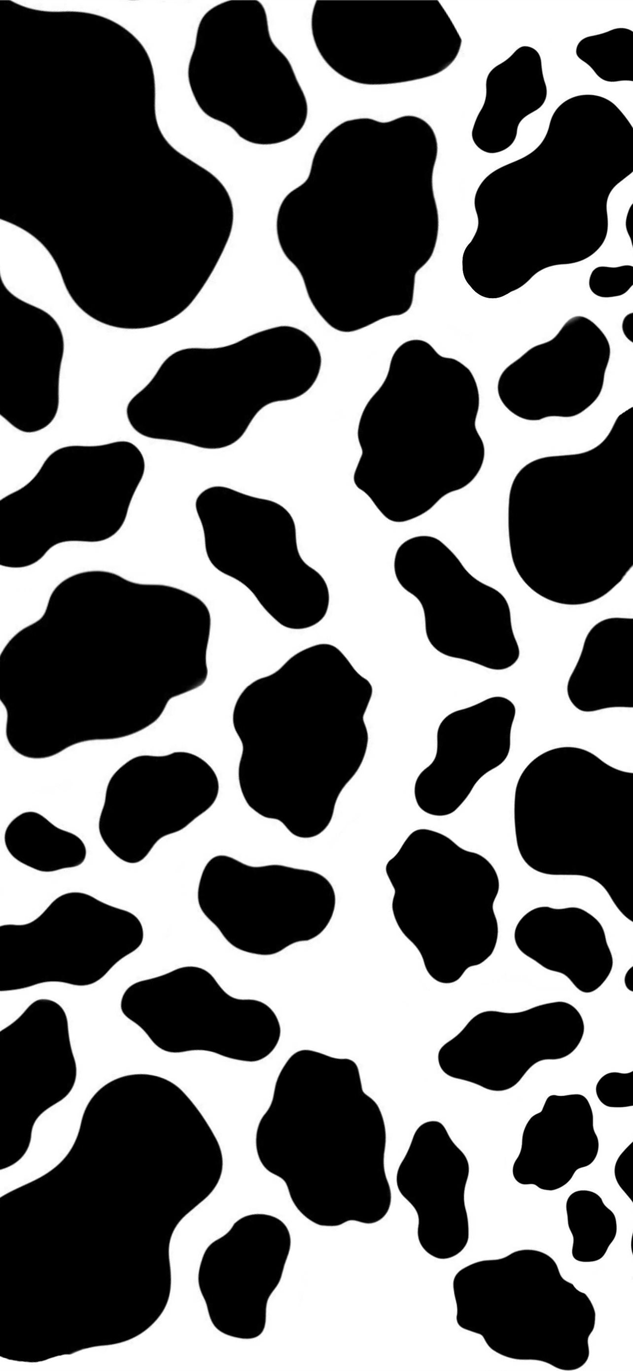 Cow print prints blue animal simple aesthrtic HD phone wallpaper   Peakpx