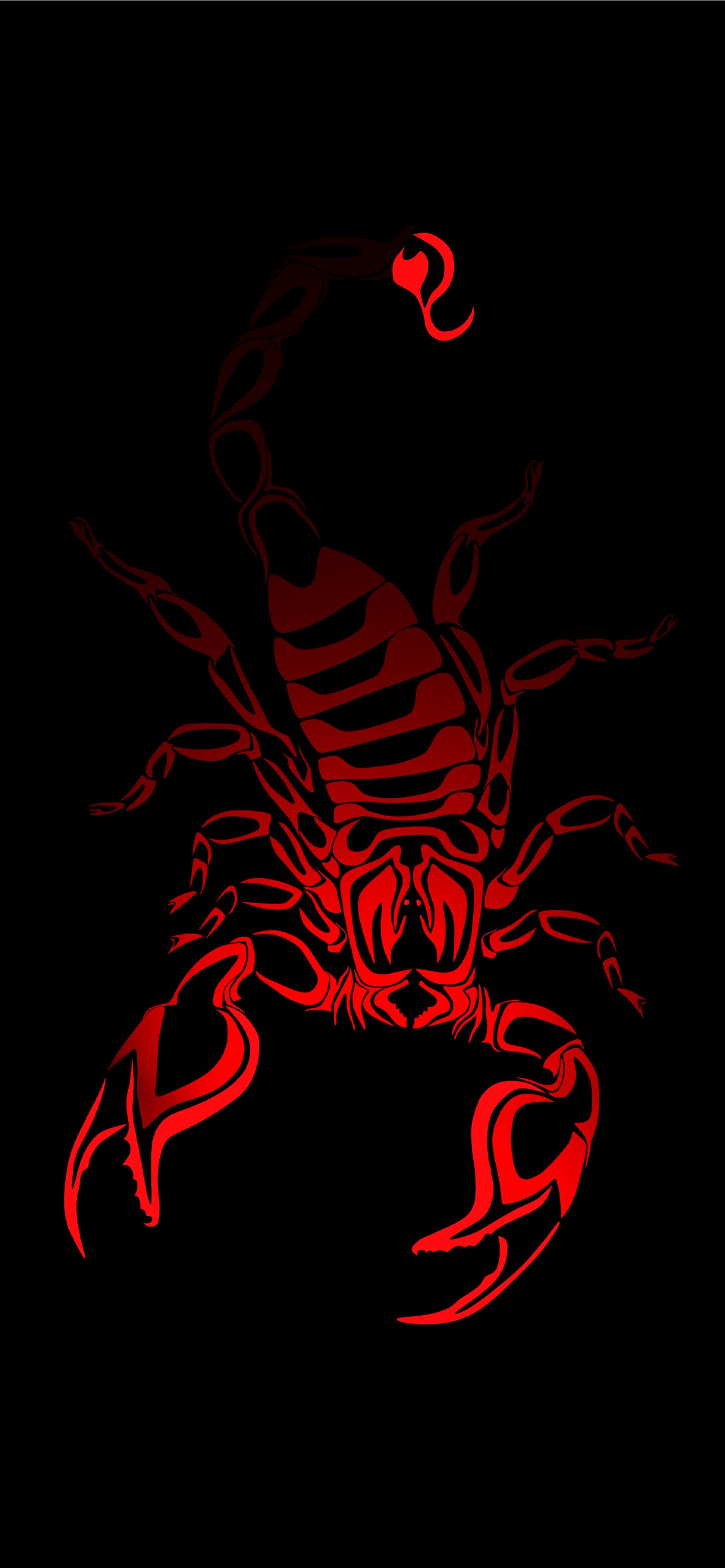 Best Scorpion arachnids iPhone HD