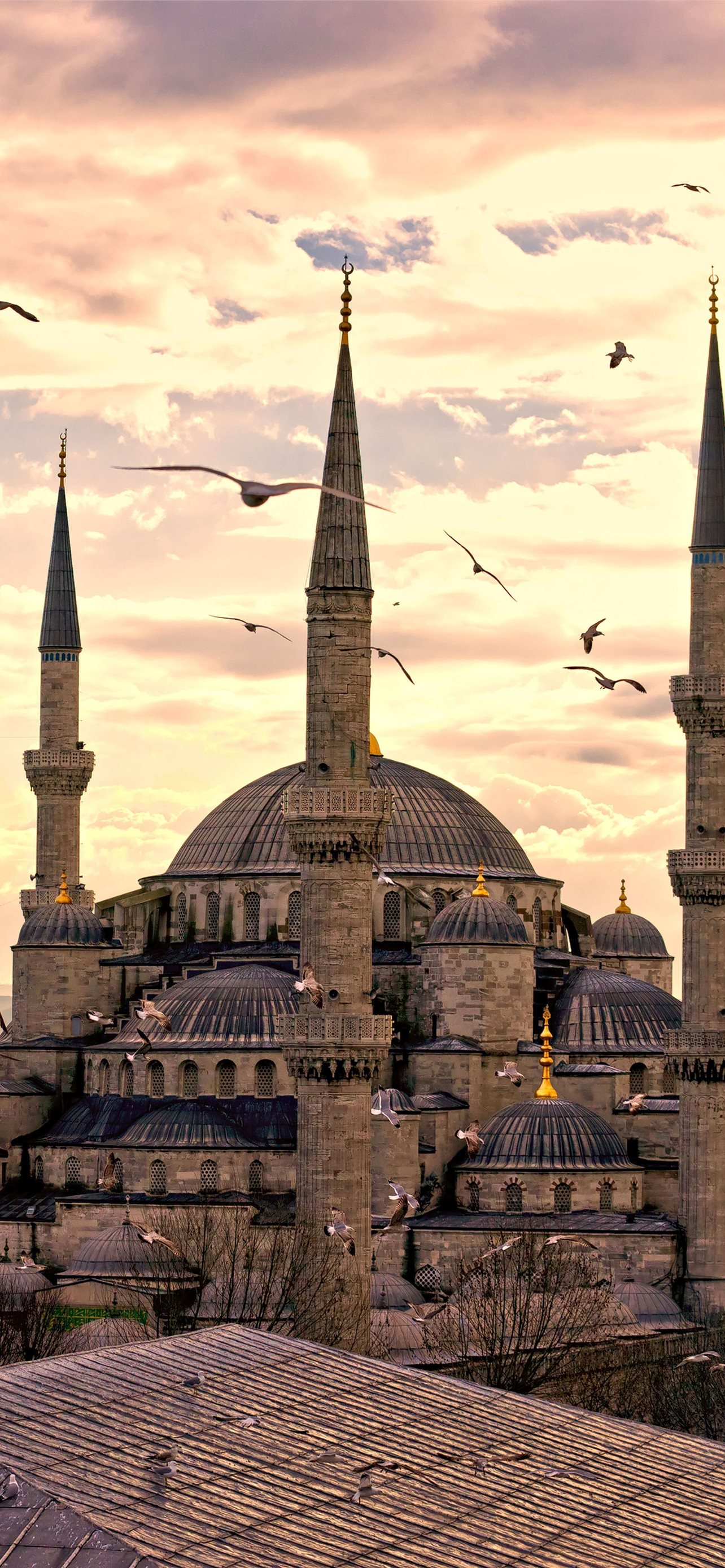 Best Mosque of cordoba iPhone HD Wallpapers - iLikeWallpaper