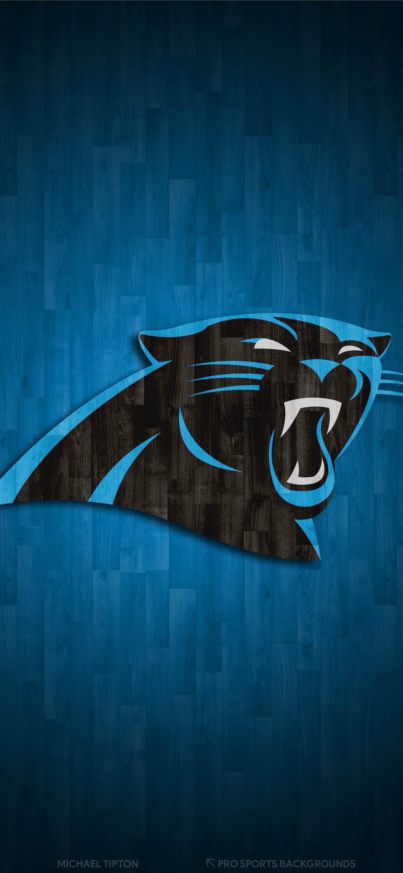 Download Carolina Panthers Keep Pounding Wallpaper  Wallpaperscom