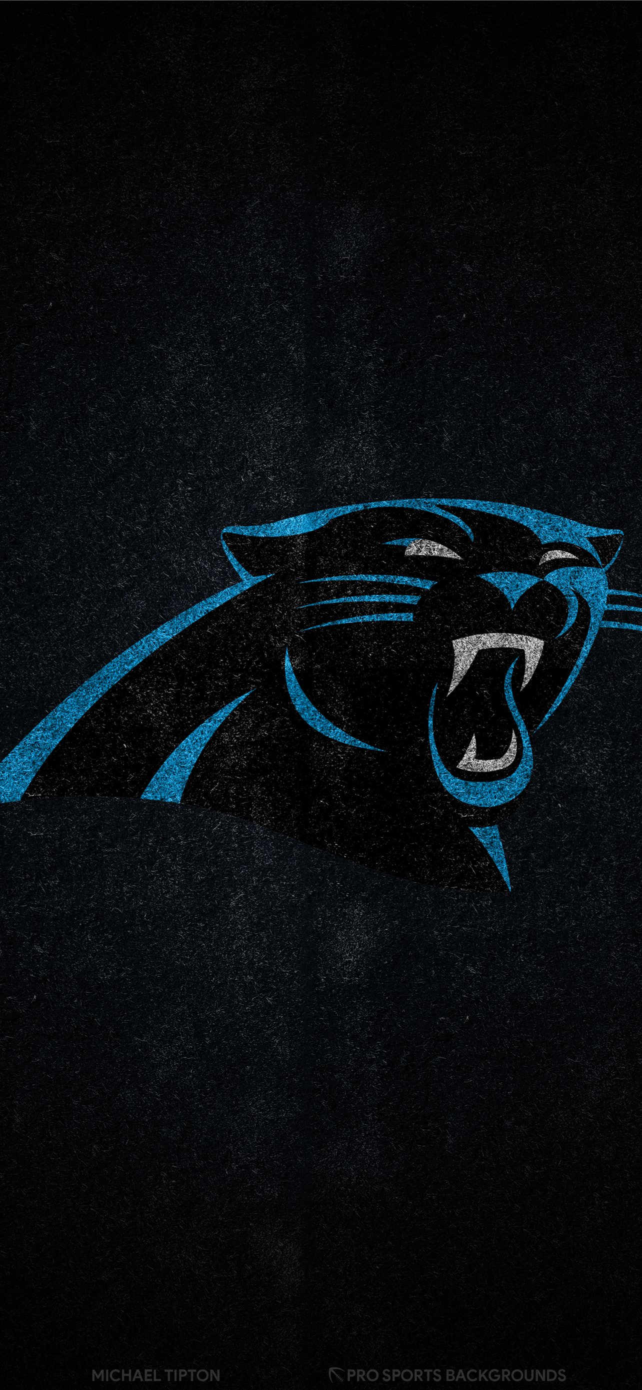 Carolina Panthers Phone Wallpaper by Michael Tipton  Mobile Abyss