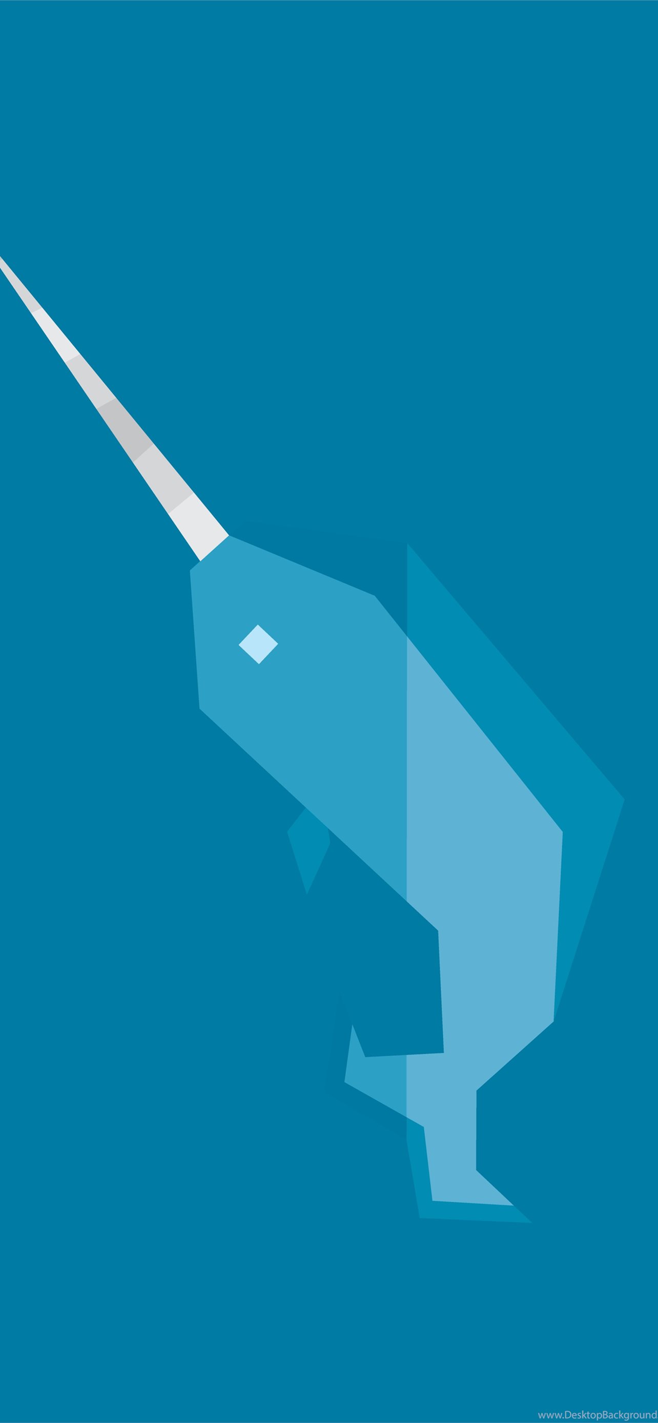 Narwhal Cartoon Images  Browse 5183 Stock Photos Vectors and Video   Adobe Stock
