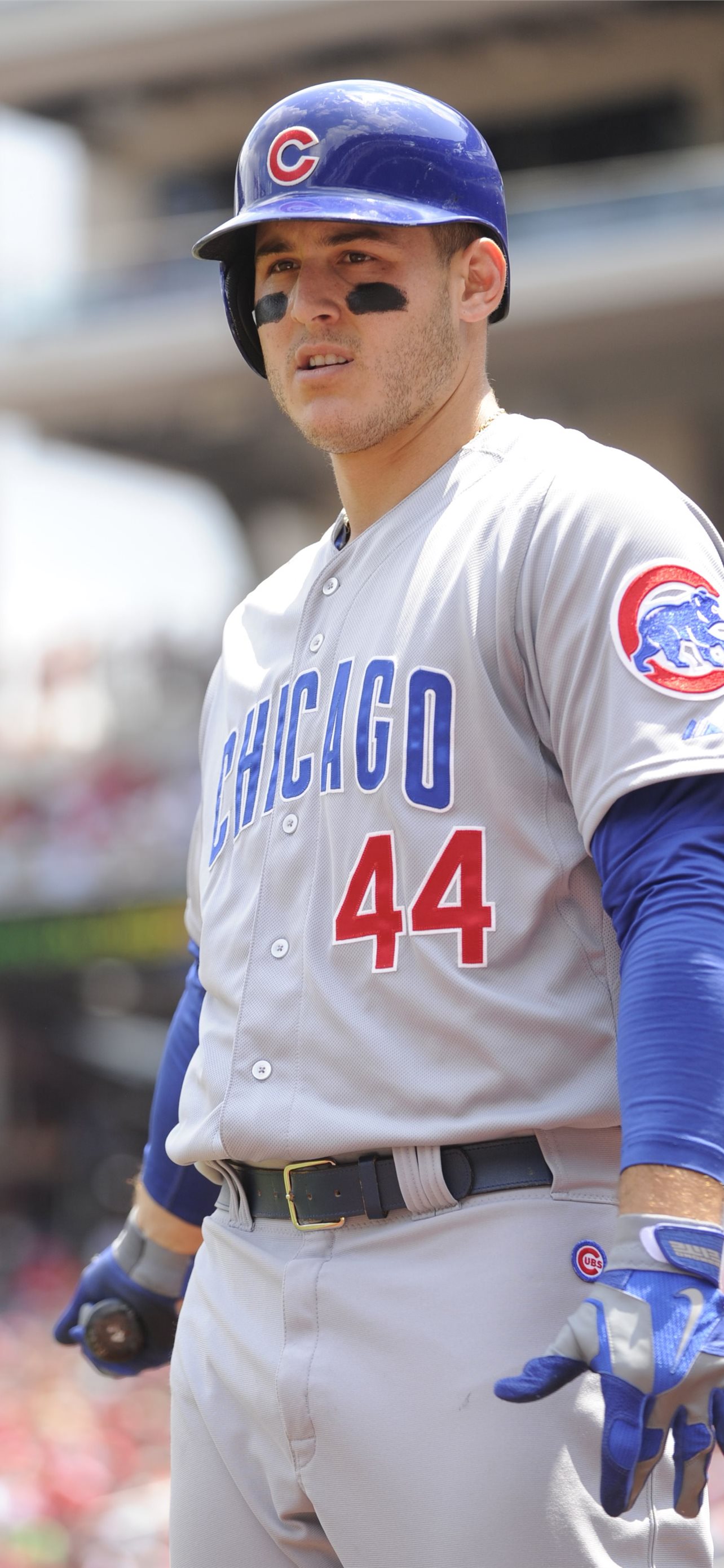 Anthony Rizzo in Cincinnati Reds v Chicago Cubs HD wallpaper  Pxfuel