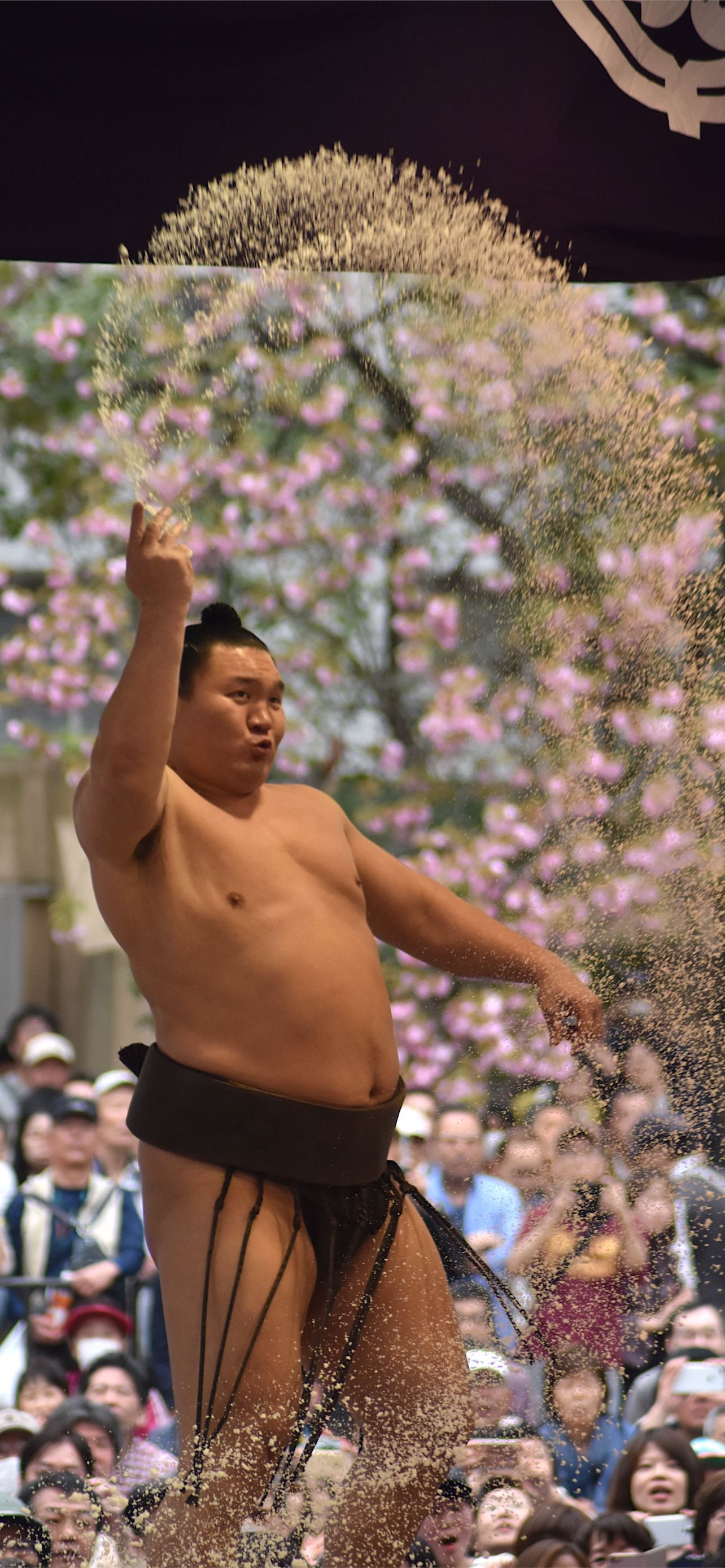 Sumo: Terunofuji overcomes tricky Ura to stay unbeaten on Day 4