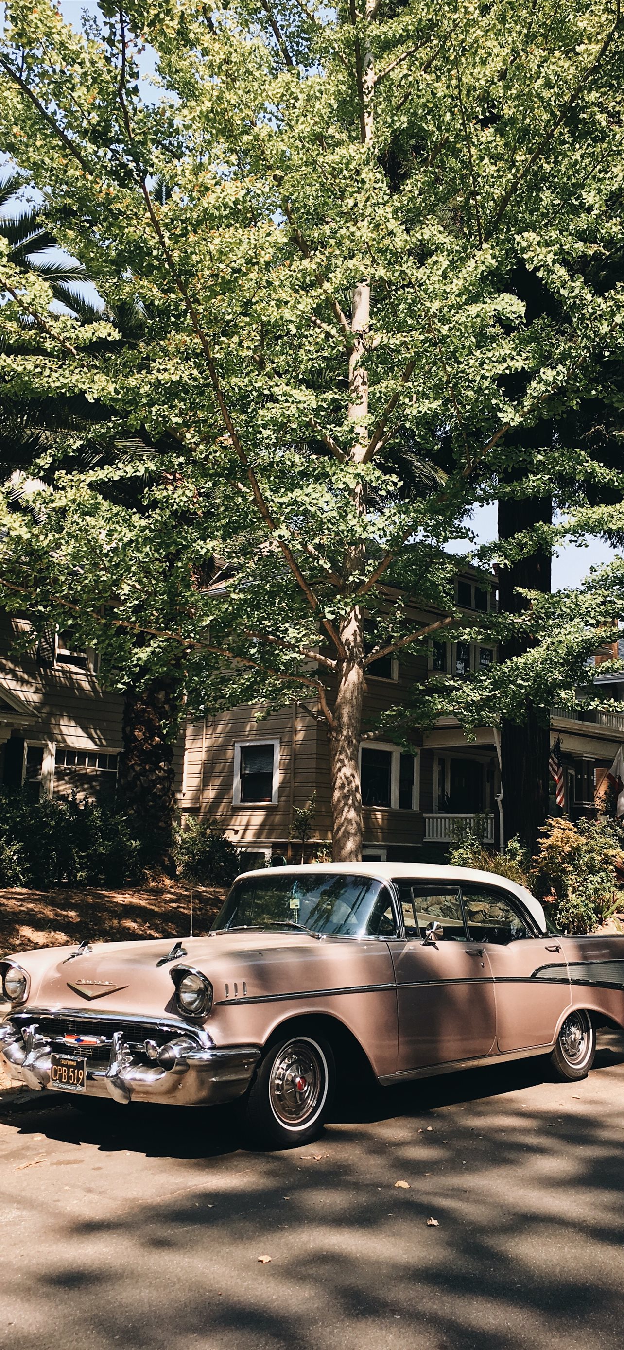 vintage pink sedan parked in front of tree iPhone wallpaper 