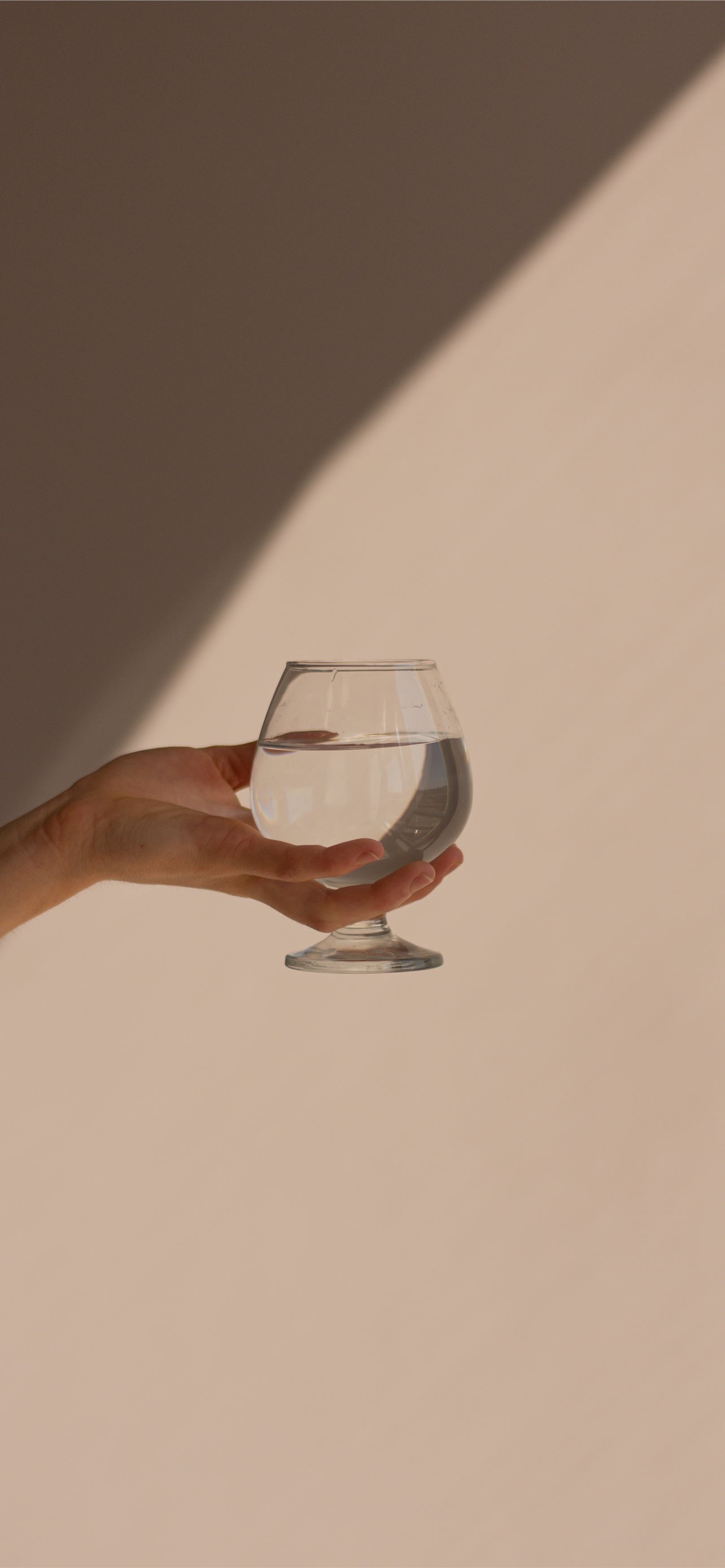 person holding clear wine glass iPhone Wallpapers Free Download