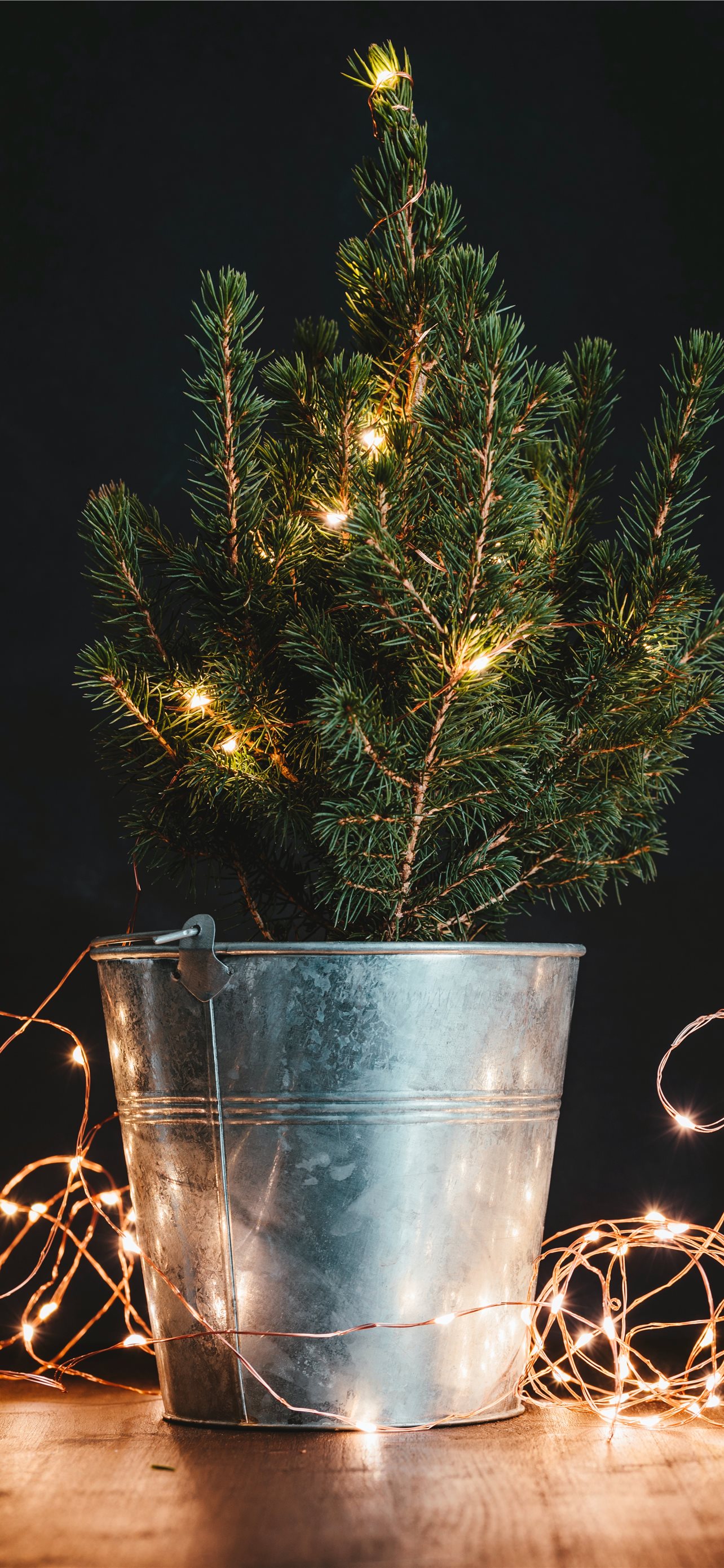 green Christmas tree in bucket with string lights iPhone wallpaper 