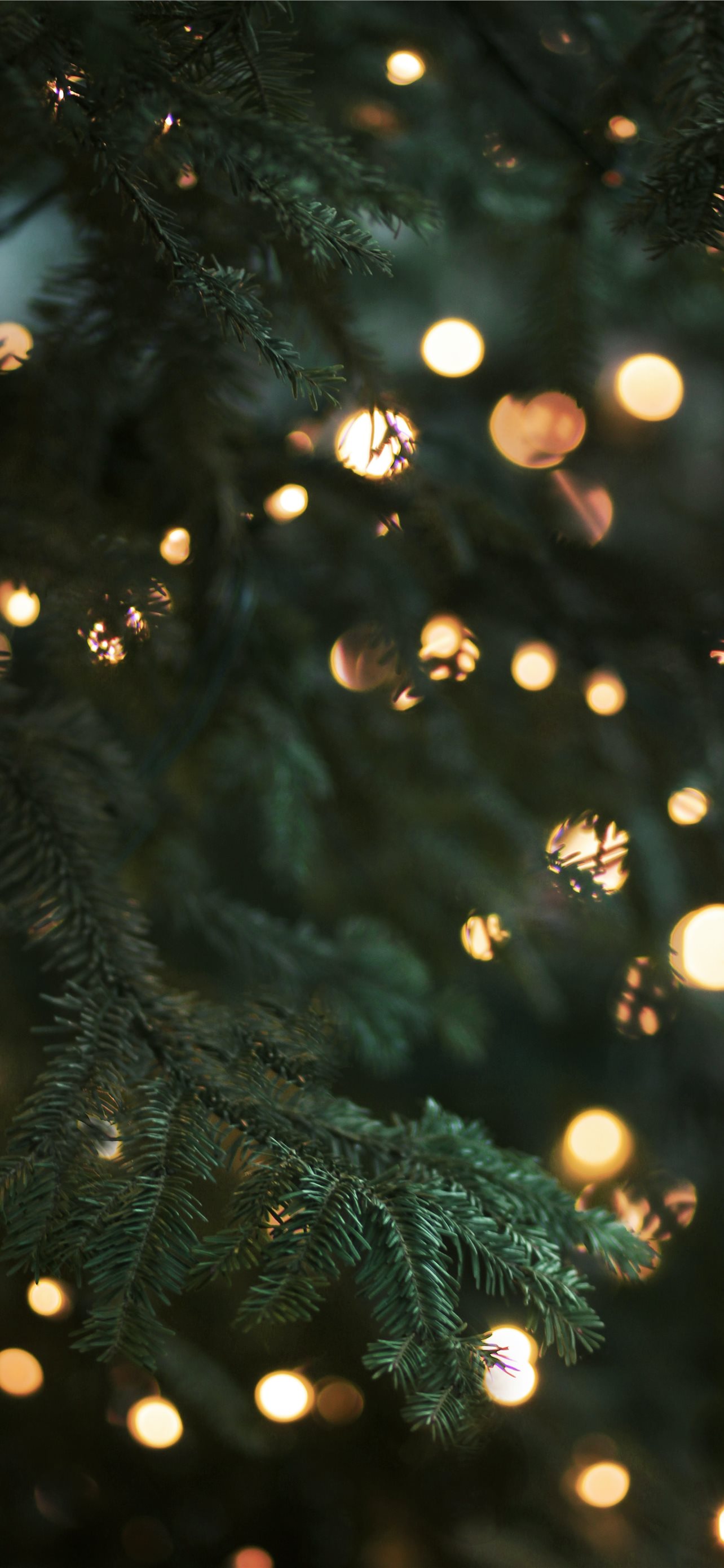 A Glittering Christmas Ball Hanging on Christmas Tree · Free Stock Photo