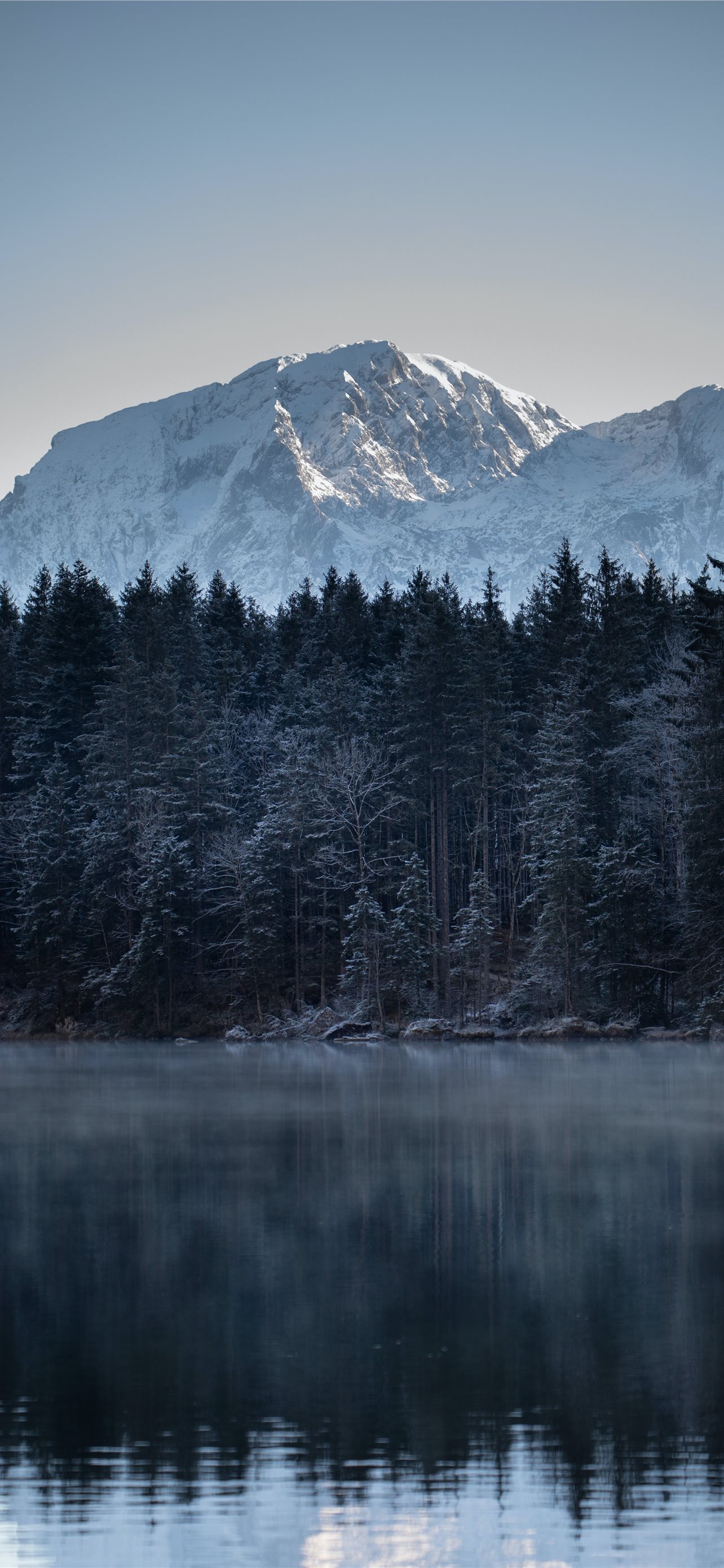 green pine trees near lake and snow covered mounta... iPhone wallpaper 