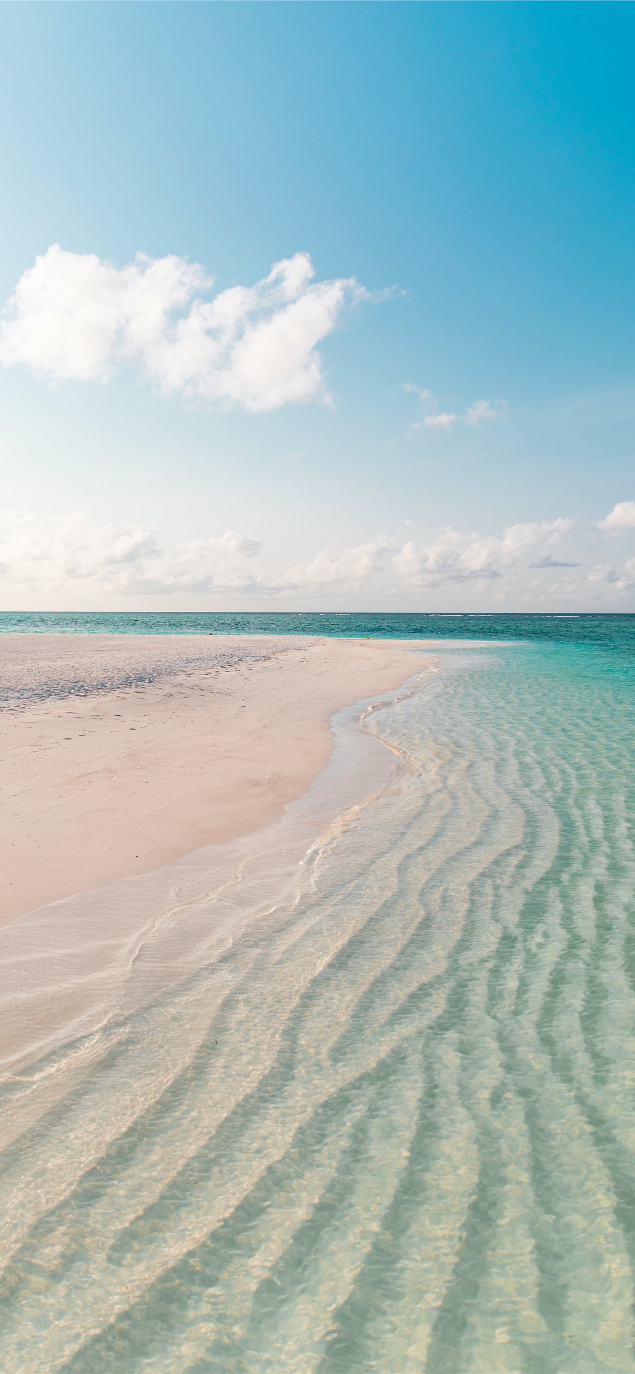 white sand beach during daytime iPhone wallpaper 