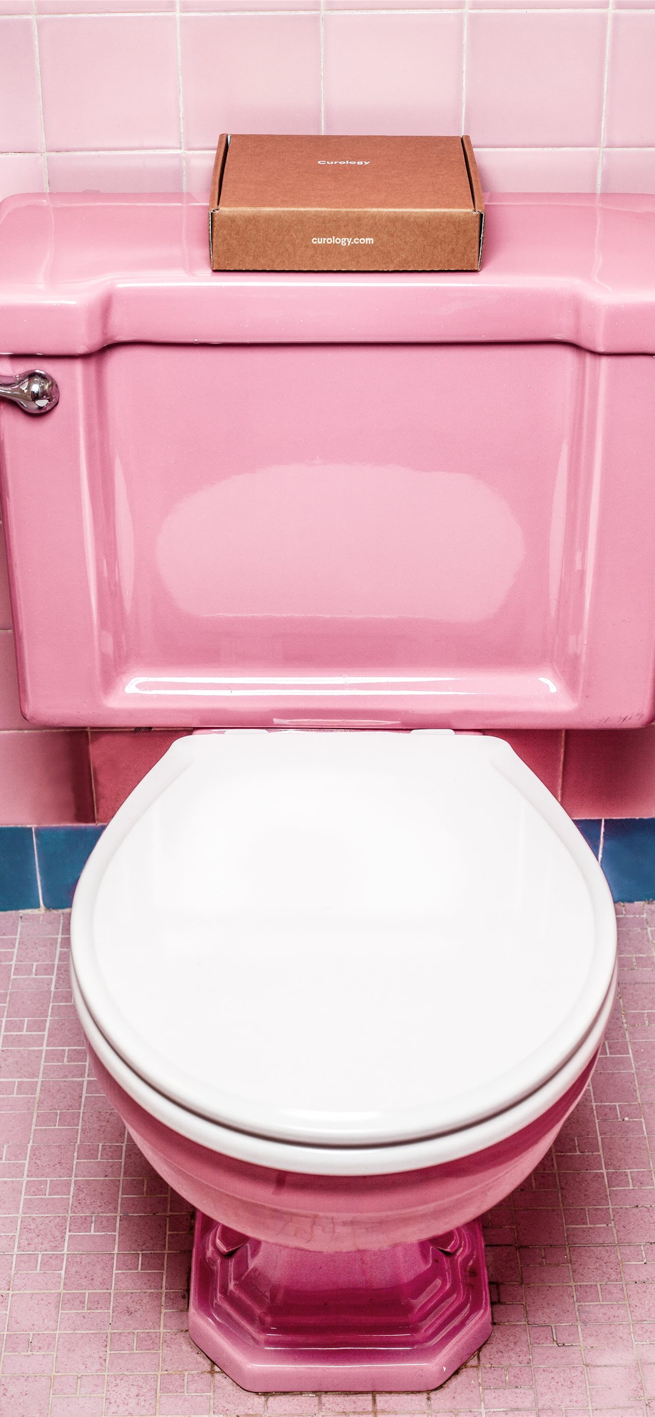 pink and white ceramic toilet bowl iPhone wallpaper 