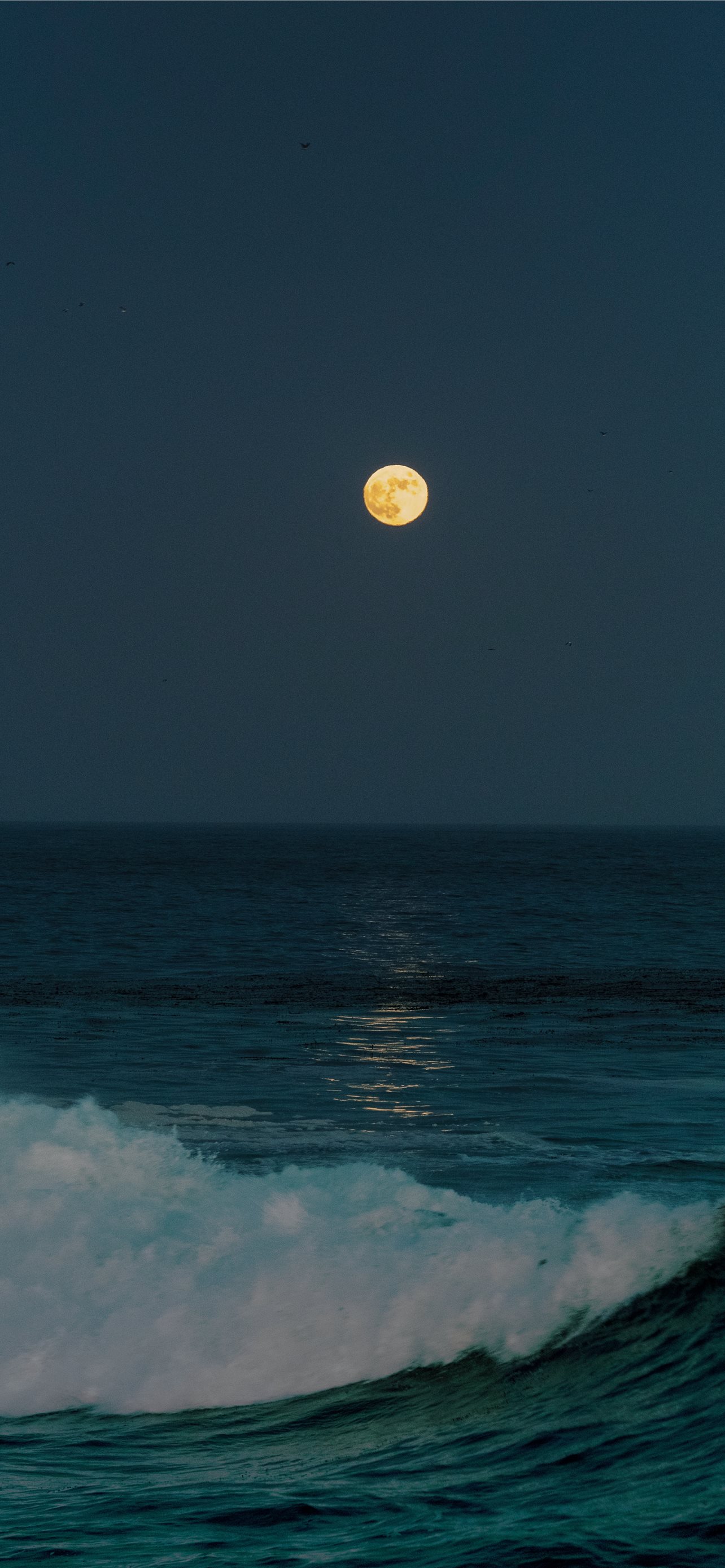 full moon over the ocean iPhone wallpaper 