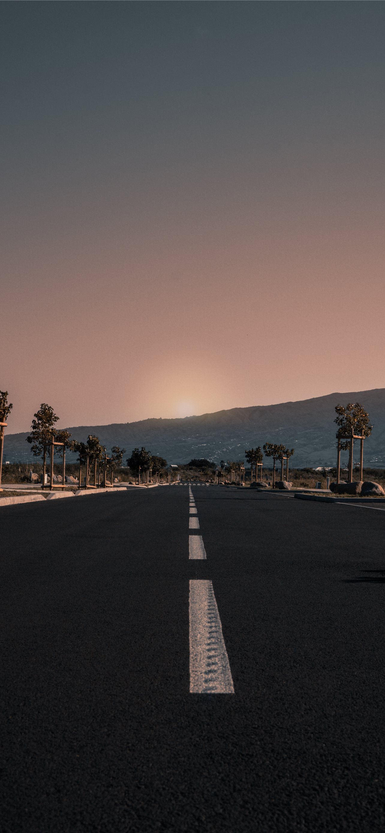 Highway Between Trees During Golden Hour IPhone Wallpapers Free Download