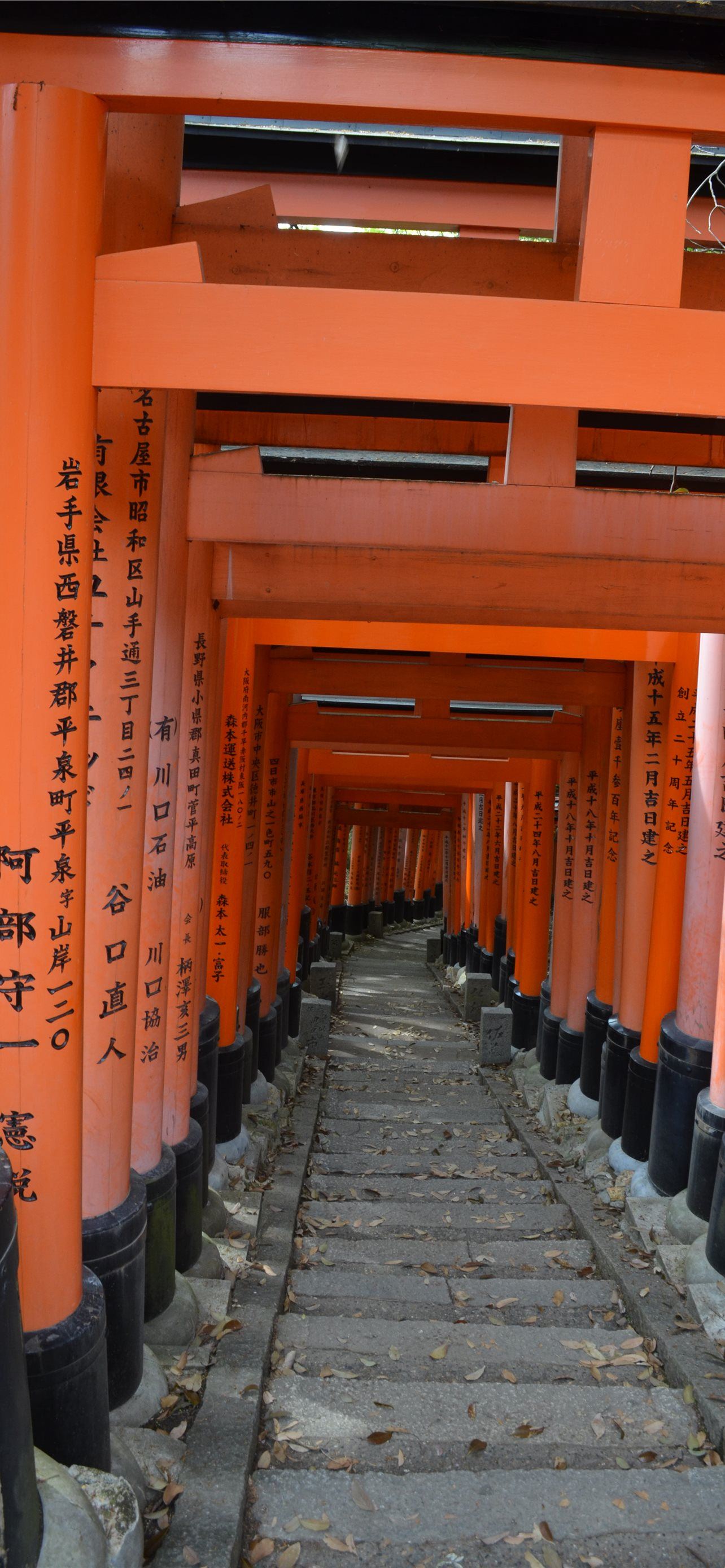 Torii Gate Iphone Wallpapers Free Download