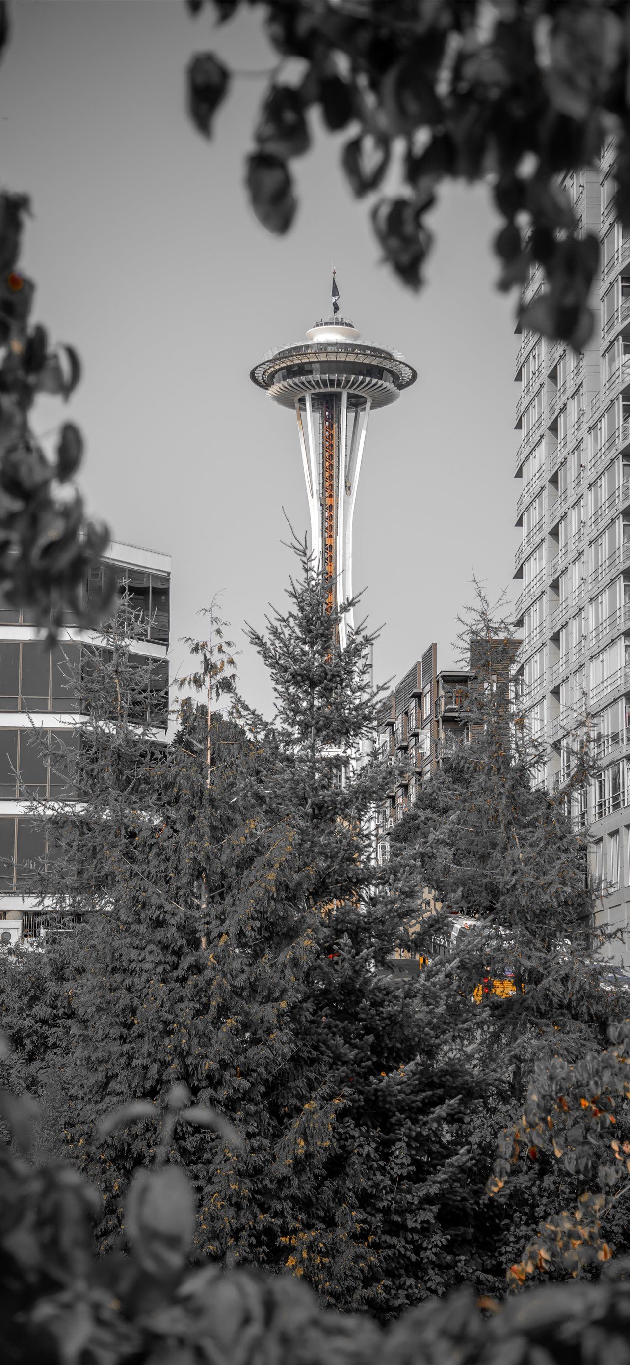 Best Seattle iPhone HD Wallpapers - iLikeWallpaper