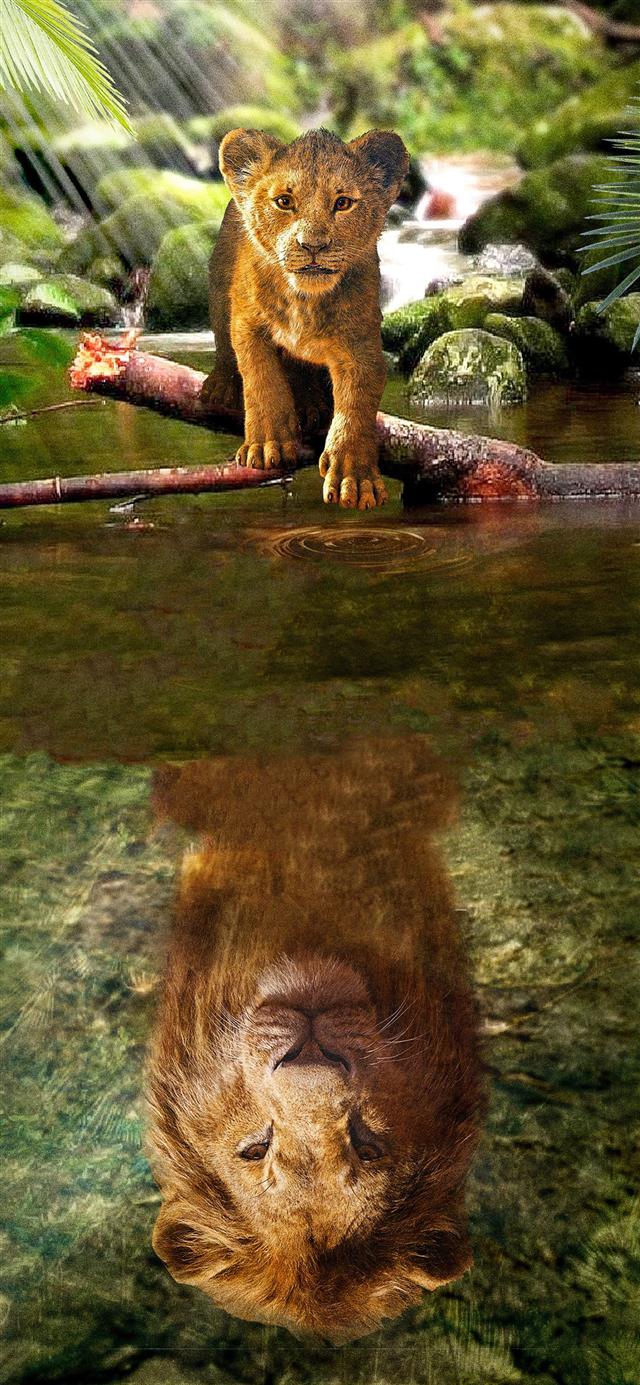 the lion king simba 2019 iPhone 12 wallpaper 
