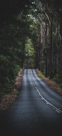Long Mountain Road wallpaper