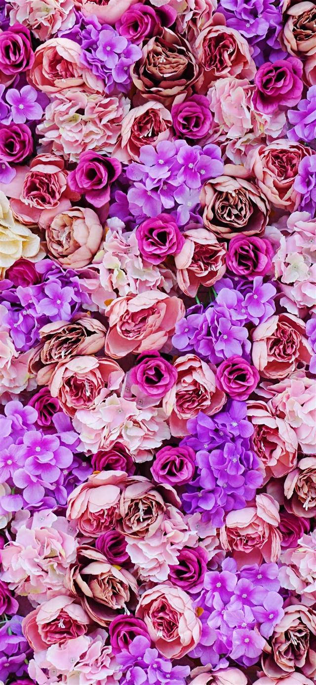 pink and purple petaled flower iPhone 12 wallpaper 