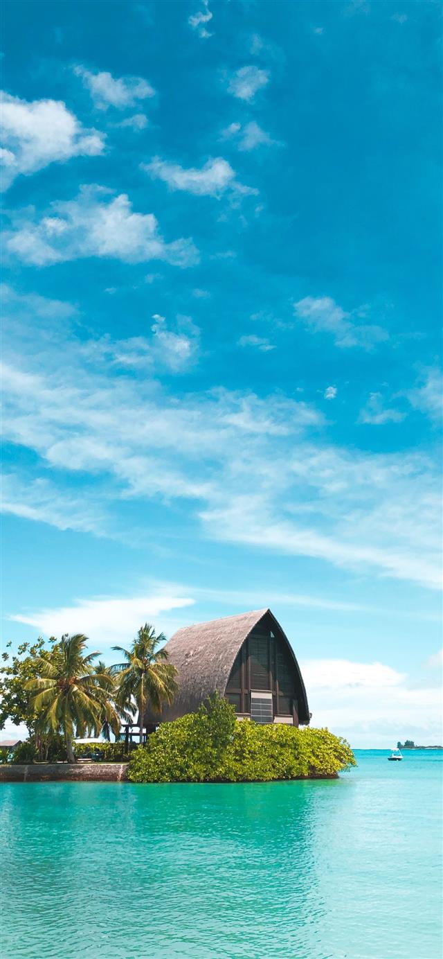 brown hut near coconut palm trees under blue sky iPhone 12 wallpaper 