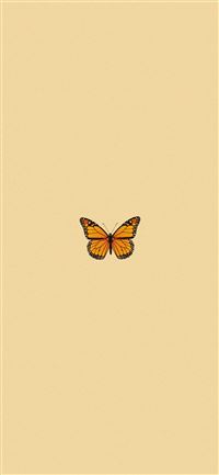 ig kaylaknguyen aestheticiphone wallpaper