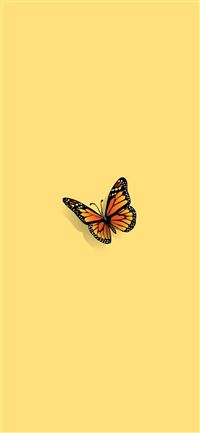 Butterfly wallpaper