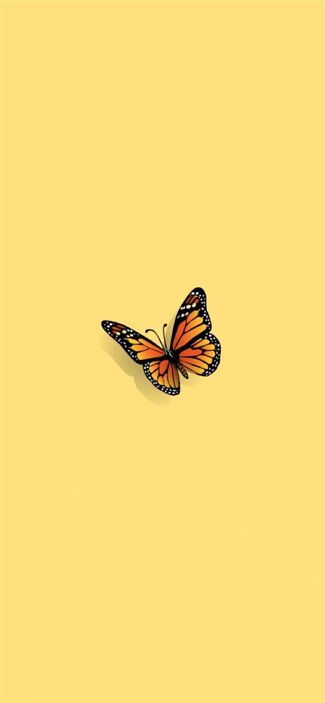 Butterfly iPhone 12 wallpaper 