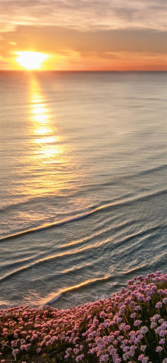 beautiful beach horizon iPhone 12 wallpaper 