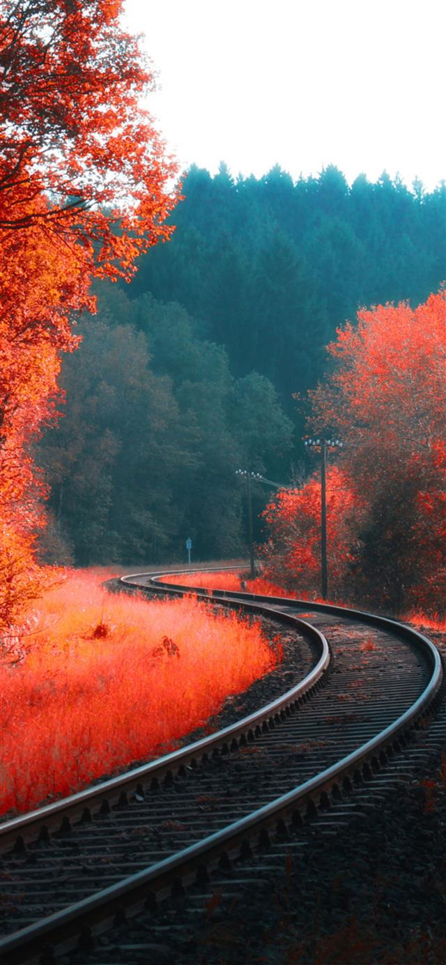 railway autumn forest iPhone 12 wallpaper 