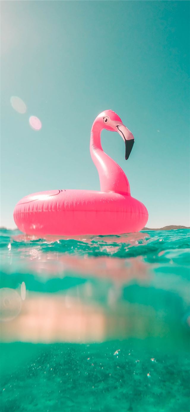 pink flamingo swim ring on body of water in summer iPhone 12 wallpaper 