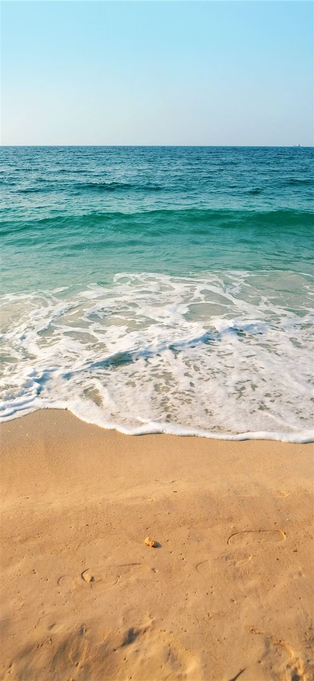 seashore under clear blue sky during daytime iPhone 12 wallpaper 