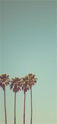 Best Santa cruz iPhone 12 HD Wallpapers - iLikeWallpaper