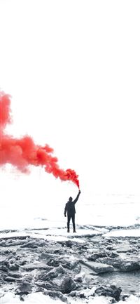 selective color photography of person holding oran... wallpaper