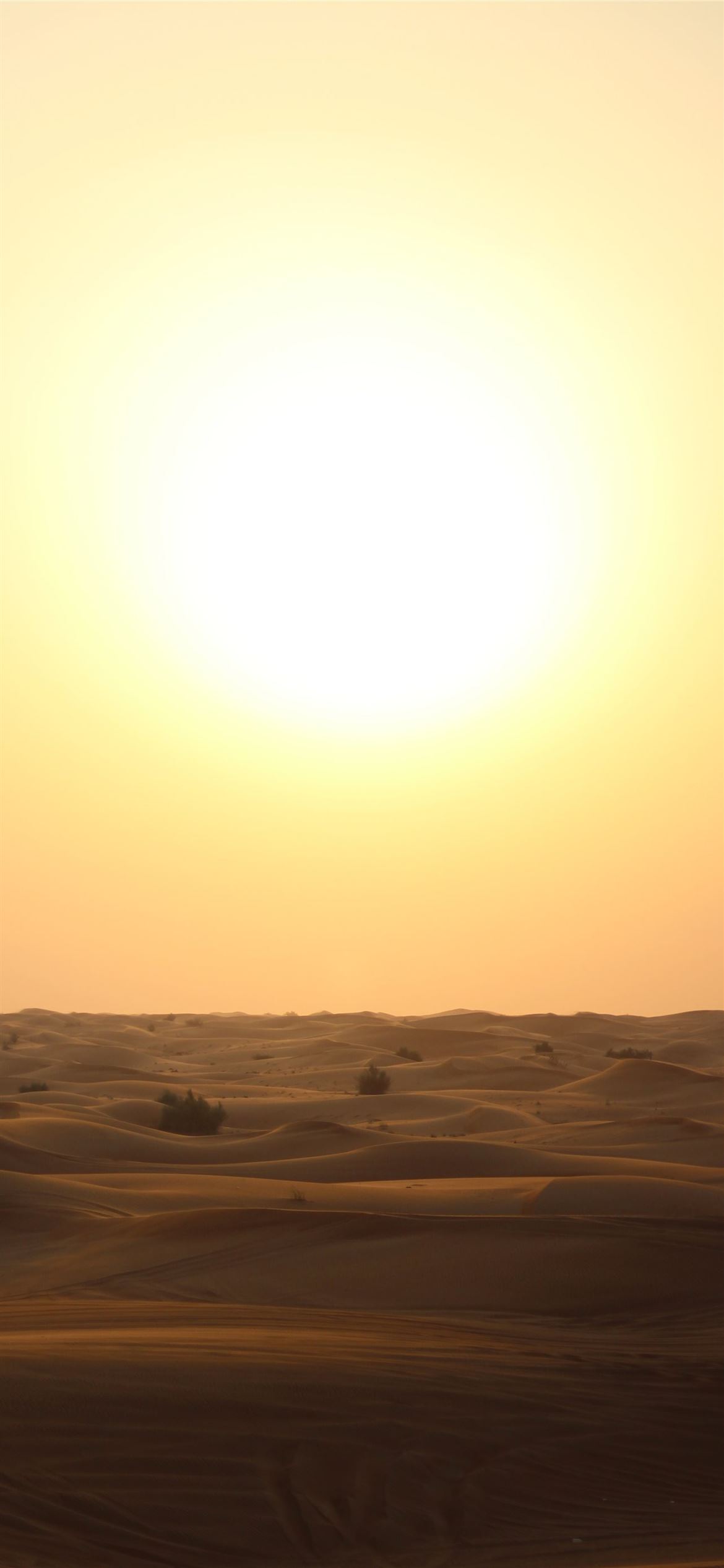 beige sand during sunset iPhone 12 Wallpapers Free Download
