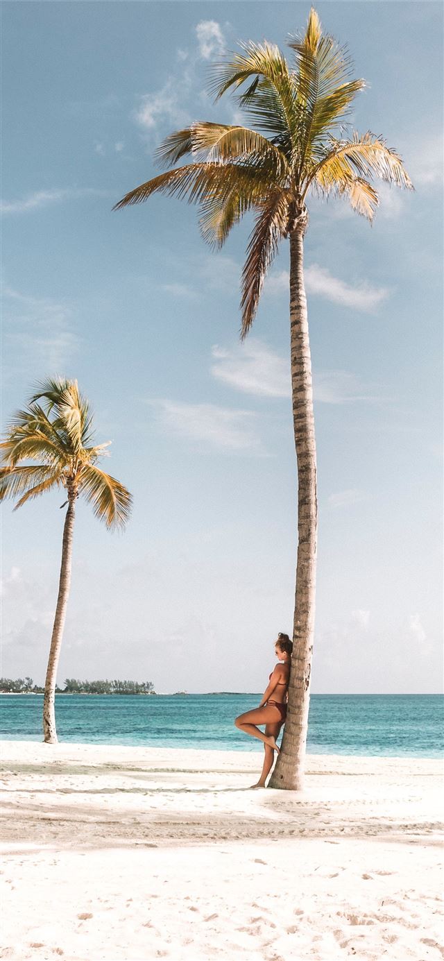 woman leaning on tree near beach iPhone 12 wallpaper 