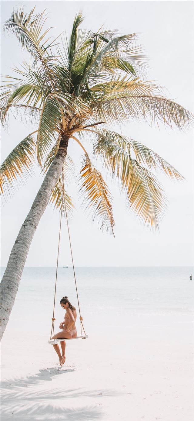 woman wearing bikini sitting on swing near coconut... iPhone 12 wallpaper 
