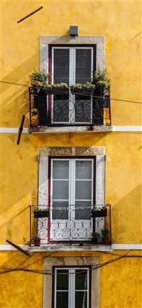 white wooden window panels and yellow painted wall wallpaper
