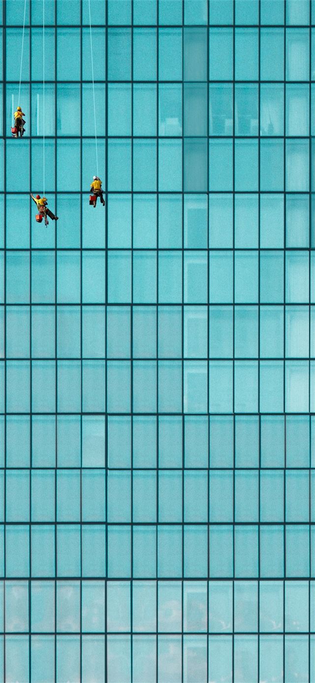 three men cleaning windows iPhone 12 wallpaper 