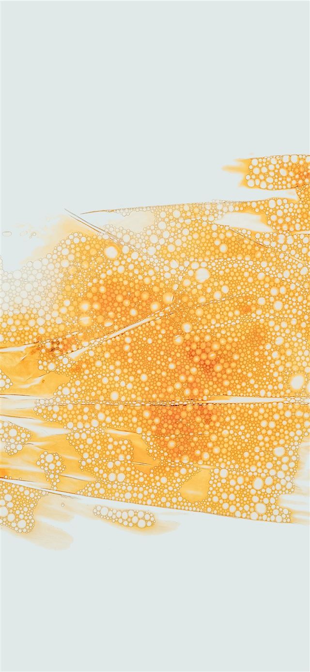This is coloured water on clingfilm on top of a li... iPhone 12 wallpaper 