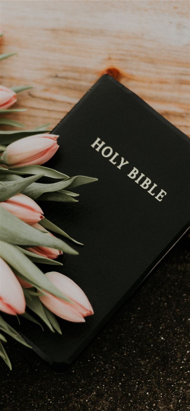 1170x2532 Holy Bible under pink tulips -  iPhone 12 Wallpaper