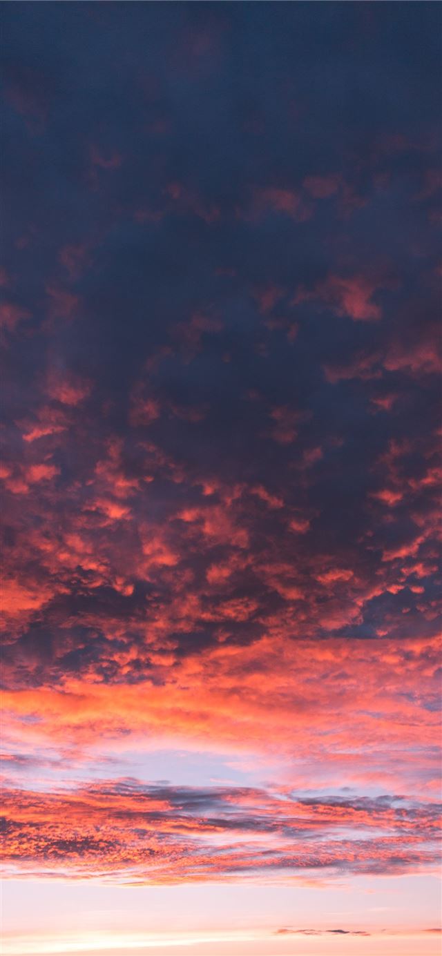 red and blue skies low angle photography iPhone 12 wallpaper 