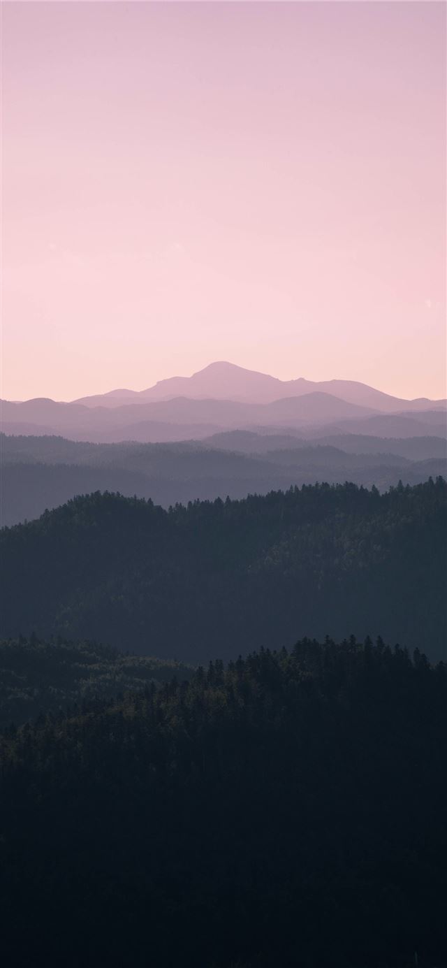 green trees on mountain during daytime iPhone 12 wallpaper 